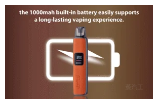 DOTMOD佩特里DOTPOD S PRO 35W電子煙主機空倉煙彈