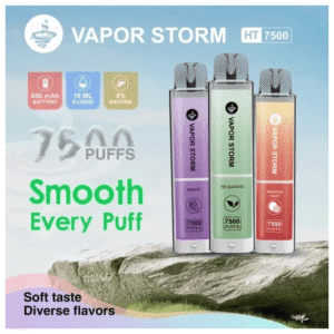 VAPOR STORM風暴辣妹電子煙可充電一次性拋棄式7500口